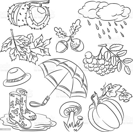 Раскраски приметы осени для детей