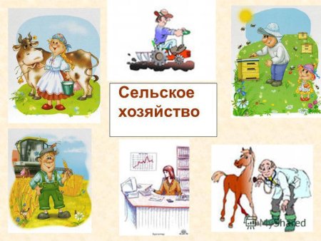 Профессии в сельском хозяйстве для дошкольников