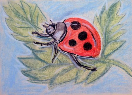 Рисование мир насекомых