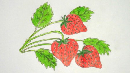 Рисование клубники