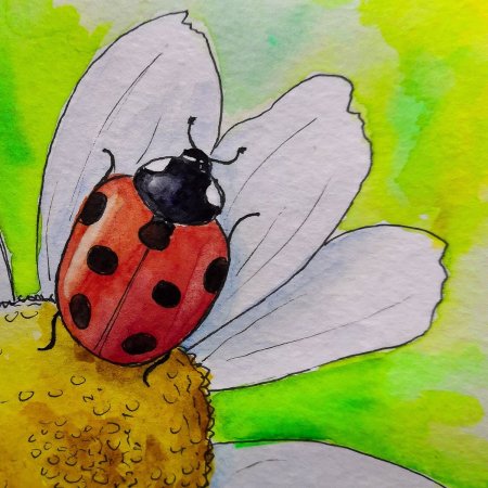 Рисование насекомых в детском саду