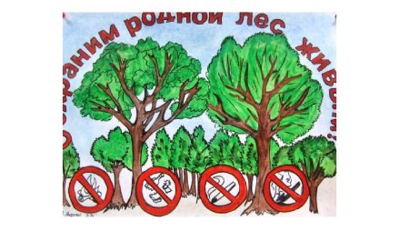 Рисунок на тему сохраним лес