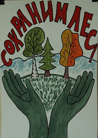 Плакат охрана лесов