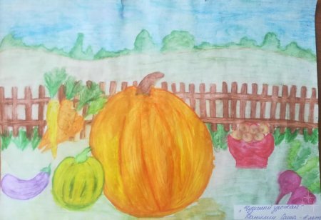 Рисунки на тему Огородная фантазия