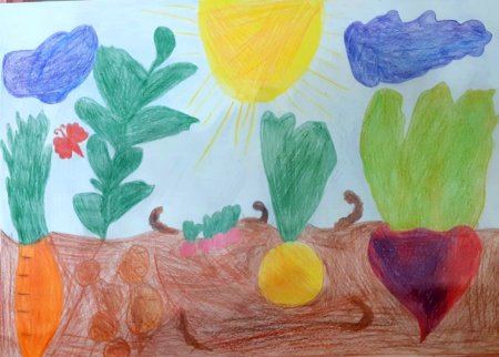 Рисование овощи на грядке