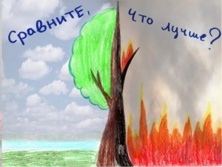 Листовки в защиту леса