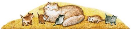 Рассказ Льва Толстого котенок