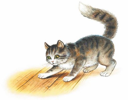Произведения л н Толстого котенок