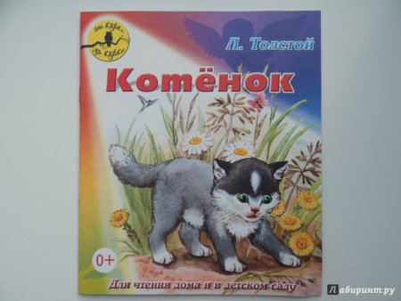 Лев толстой котенок