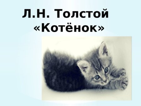 Иллюстрации к рассказу котенок Льва Николаевича Толстого
