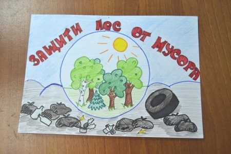 Рисунок на тему береги природу