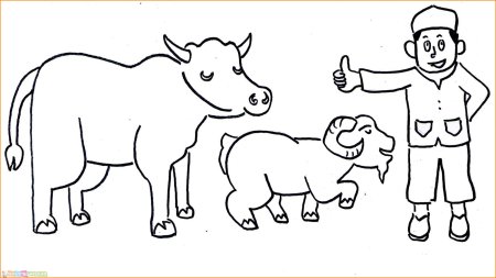 Мусульманские раскраски