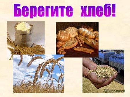 Рисунок бережного отношения к хлебу