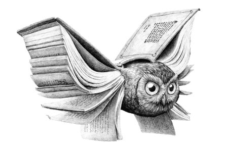 Сова с книгой