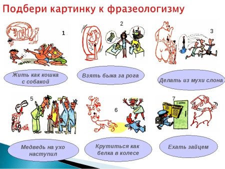 Фразеологизмы рисунки