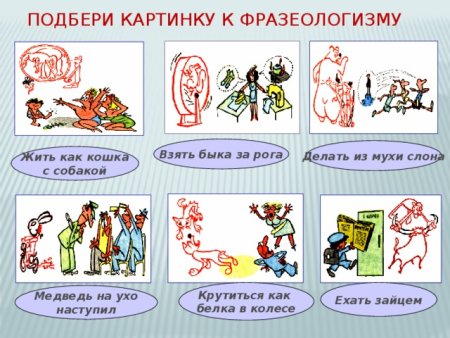 Фразеологизмы в картинках