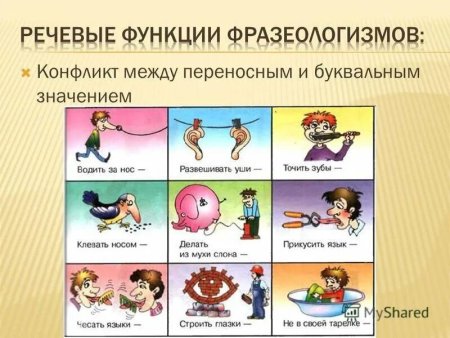 Фразеологизмы рисунки