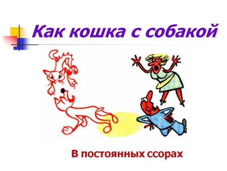 Фразеологизмы делают речь яркой?