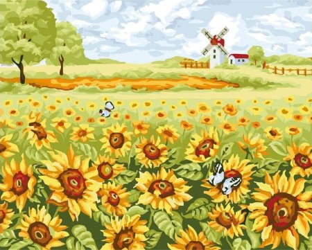 Поле рисунок