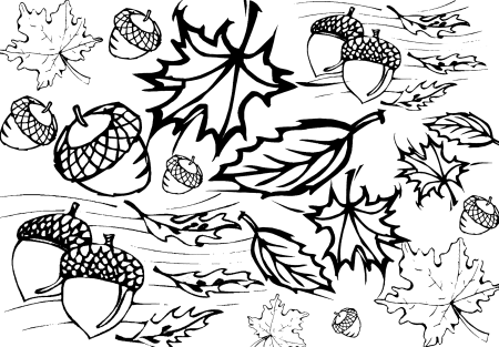 Раскраски на тему осень