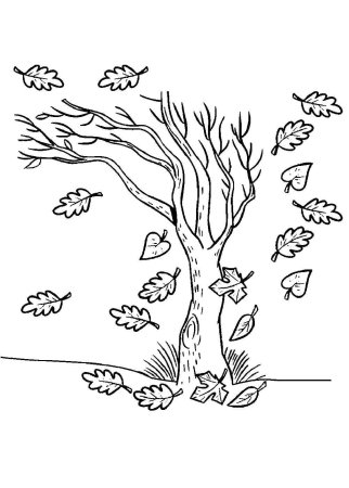 Осень раскраска для детей