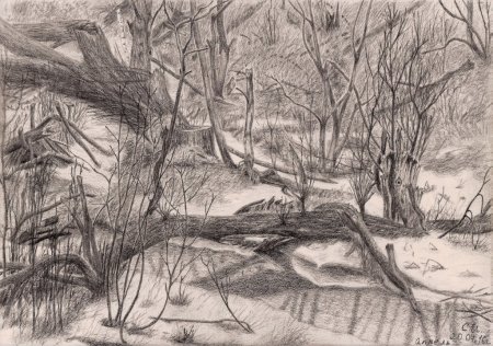 Пейзаж карандашом