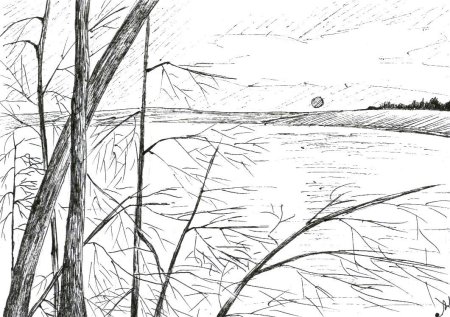 Пейзаж природы в графике