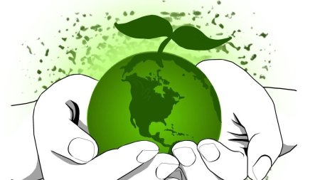 Защитим природу от мусора