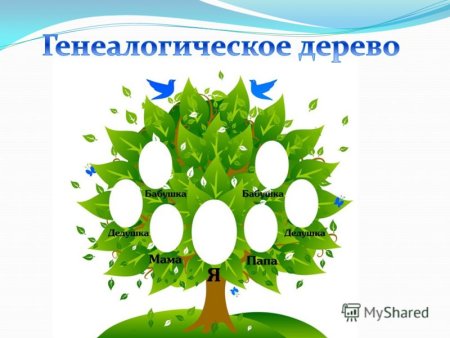 Генеалогическое Древо моей семьи