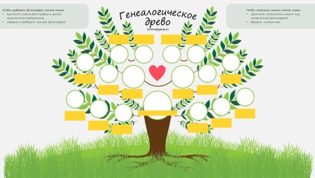 Проект родословное дерево