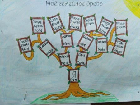Семейное дерево для школы