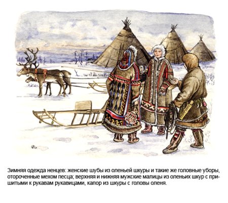 Ненцы в 17 веке в Сибири