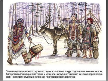 Народы Сибири в 17 веке эвенки
