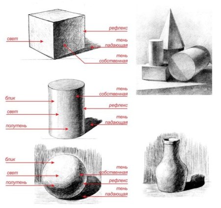 Правила светотени в рисунке