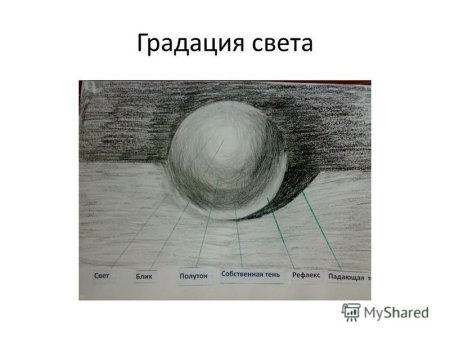 Блик тень полутень рефлекс в рисунке