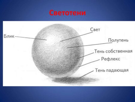 Тень полутень рефлекс штриховка