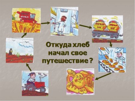 Схема откуда хлеб пришел для дошкольников