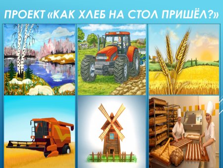 Путь от зернышка до хлеба
