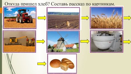 Откуда к нам хлеб пришел для дошкольников