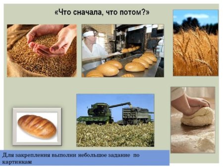 Откуда хлеб пришел для дошкольников
