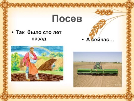 Чтениедетей как растет хоеб