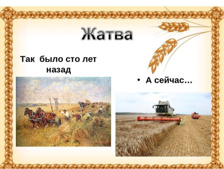 Тема хлеб для детей
