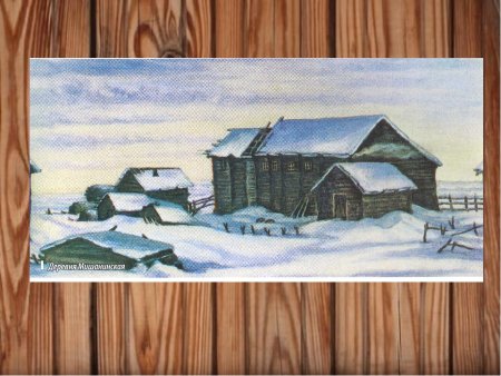 Деревня Мишанинская Ломоносов