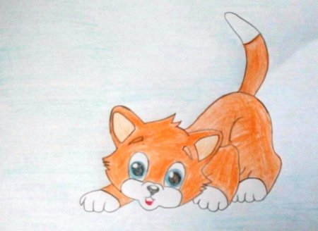 Рисование на тему домашние любимцы