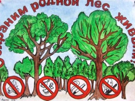 Плакаты о защите деревьев