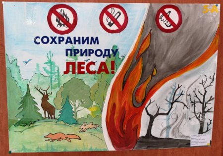 Плакат защита природы
