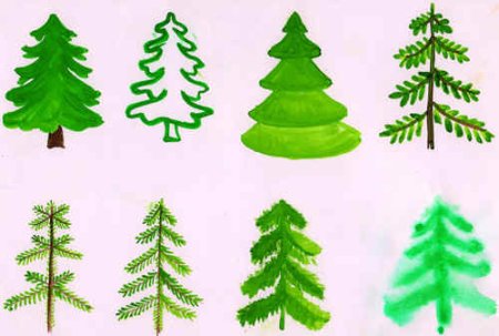 Рисование елочки в средней группе