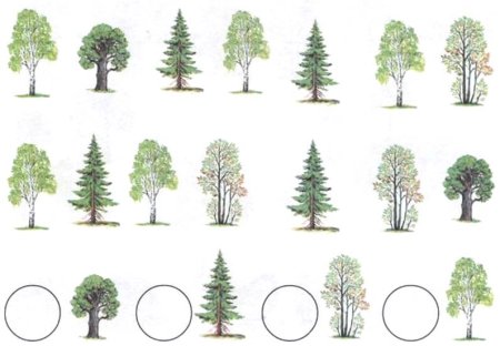 Теремкова деревья