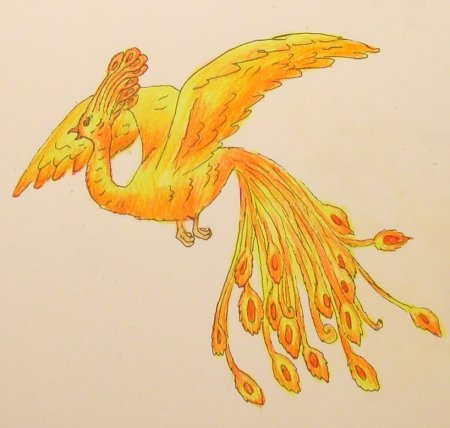 Занятие сказочные птицы