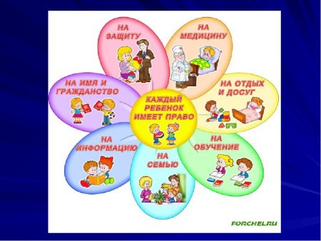 Мои право и обяженности